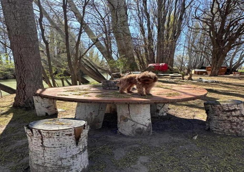 Hermosa chacra Gaiman con costa al Rio