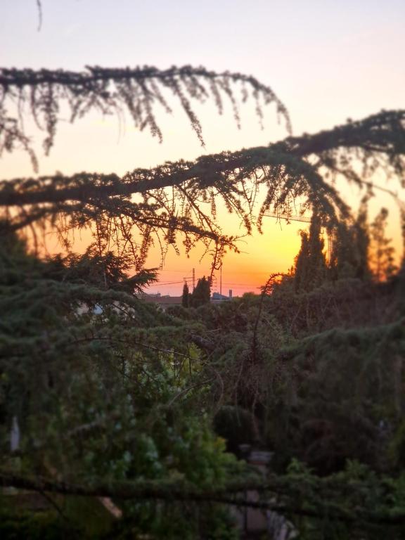 un coucher de soleil vu à travers les branches d'un arbre dans l'établissement COMFORTABLE duplex en résidence SÉCURISÉE proche MÉTRO, à Toulouse