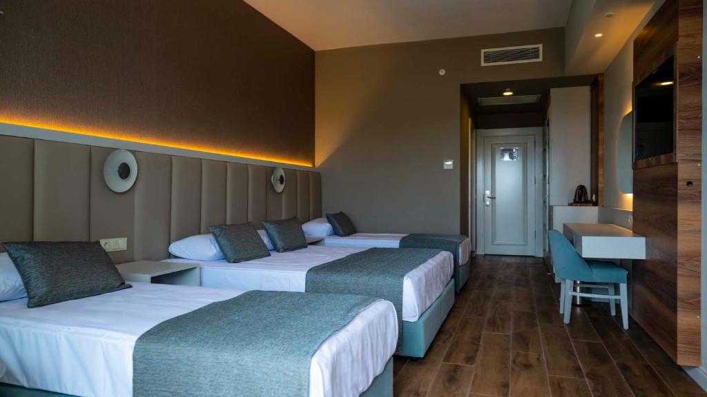 Dream Water World - Standard King Room