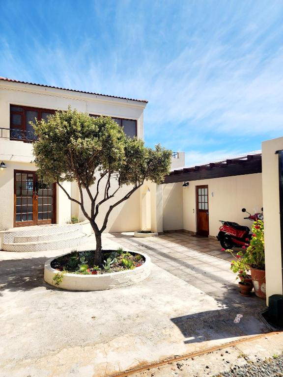 a tree in a pot in front of a building at The Tides in Simonʼs Town