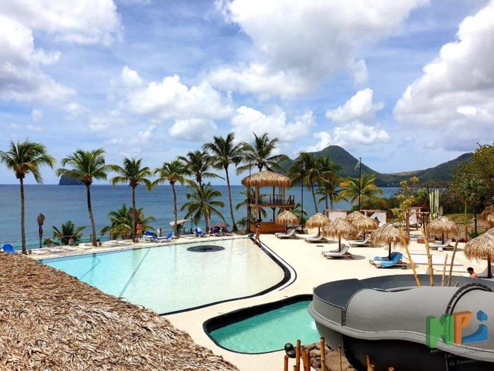 ル・ディアマンにあるStudio panoramiqueのヤシの木と海のあるリゾートのプール