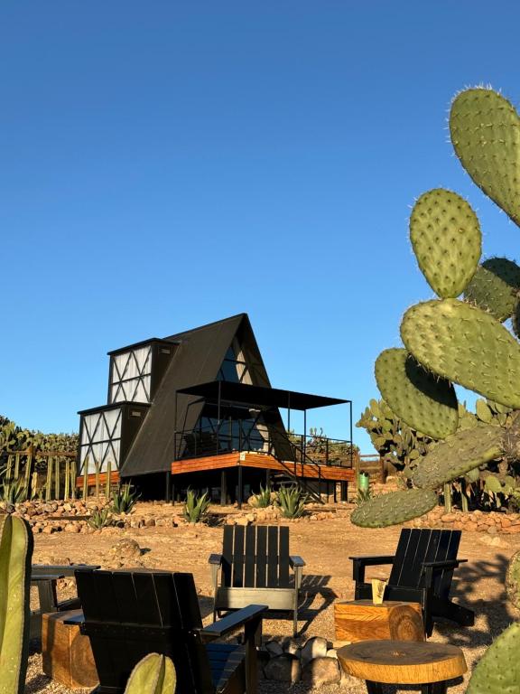 Fotografie z fotogalerie ubytování Hotel Coyote v destinaci San Miguel de Allende