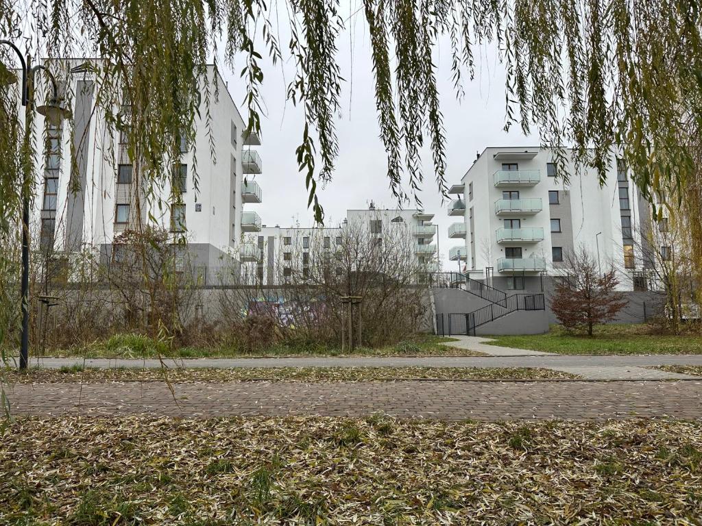 a park with tall white buildings in the background at Apartament Kosciuszki 33f in Iława