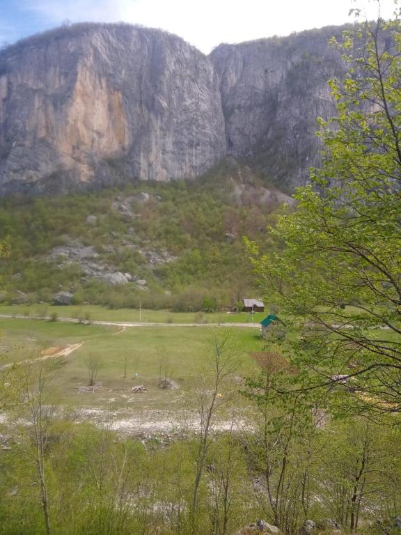 Příroda nedaleko apartmánu
