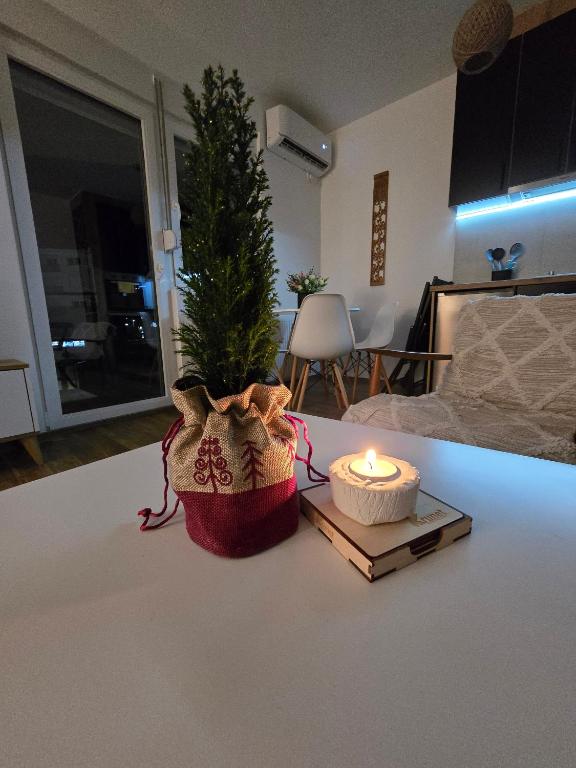 Fotografie z fotogalerie ubytování Apartmani Krunet v destinaci Kruševac