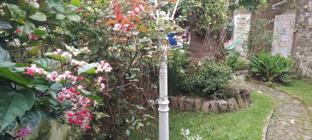 Zahrada ubytování Espaço, natureza e clima familiaar