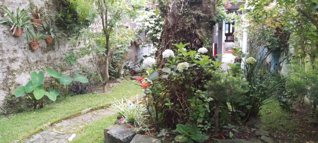 Zahrada ubytování Espaço, natureza e clima familiaar