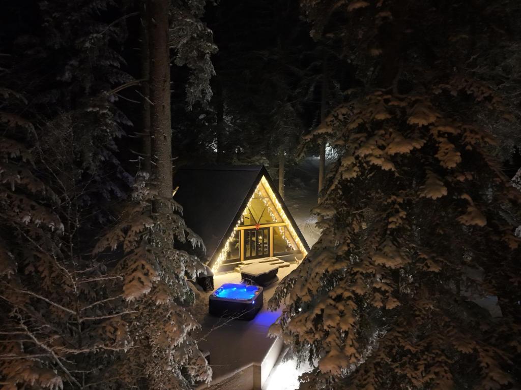 una cabaña en el bosque por la noche con un coche aparcado delante en The Cozy Chalet, en Bosanski Petrovac