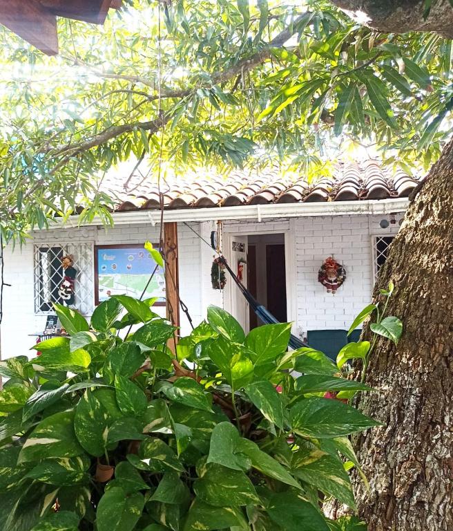 Zahrada ubytování Hostal CORALES