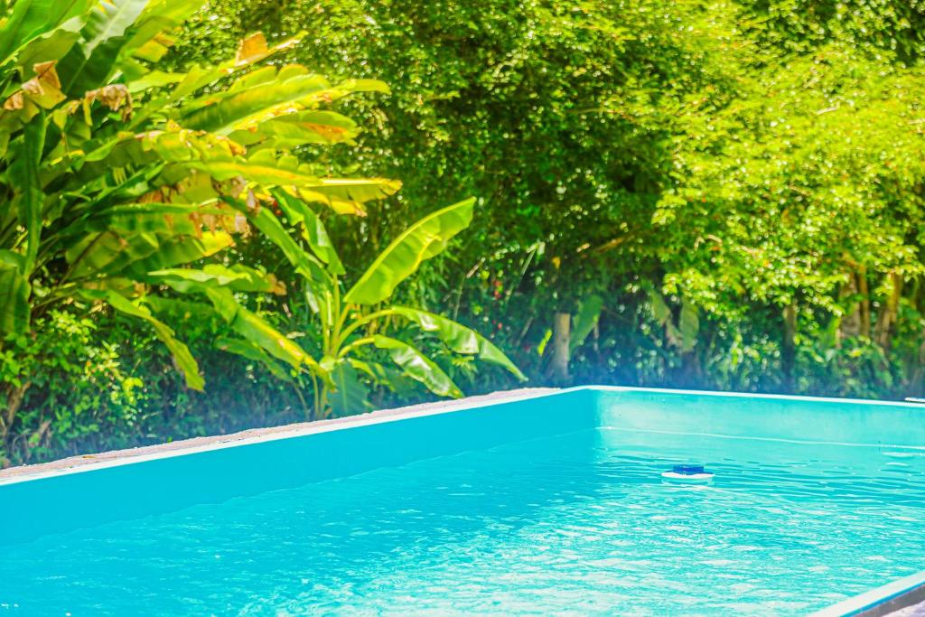 Bazén v ubytování Loft piscina, ar condic, area de lazer e natureza nebo v jeho okolí