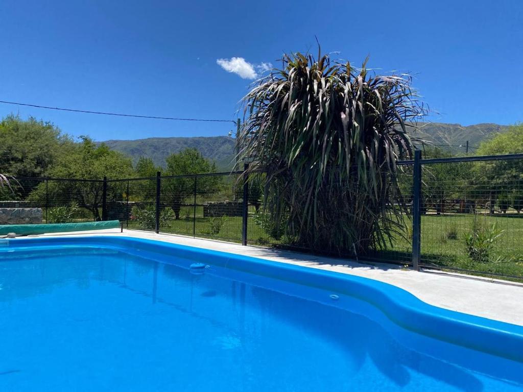 Swimmingpoolen hos eller tæt på Apart Punto Norte