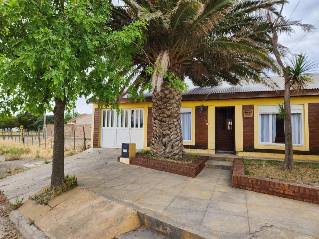 a palm tree in front of a house at La comarca Alquiler x día casa amplia con garagge in Patagones