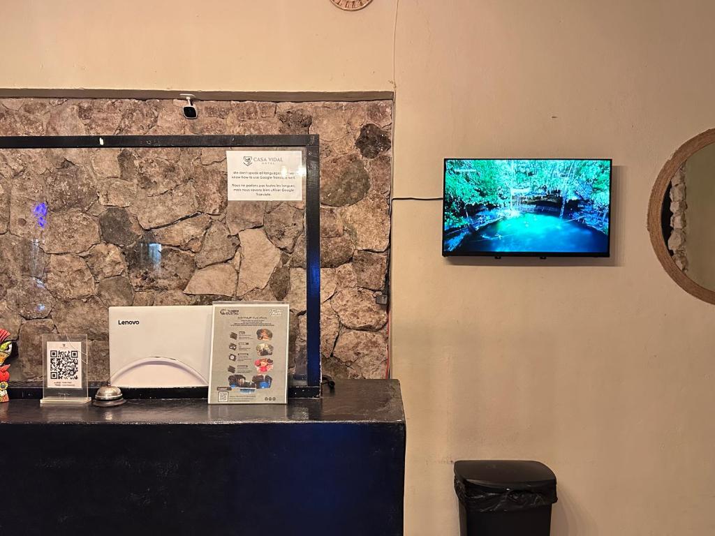 TV a/nebo společenská místnost v ubytování Casa Vidal Hotel