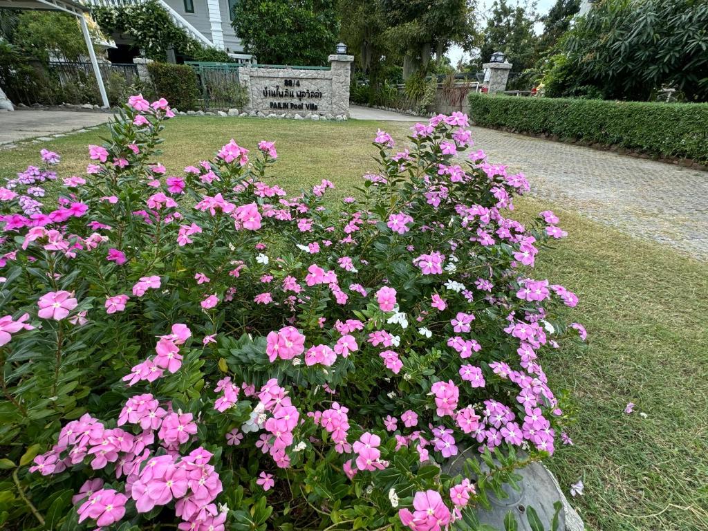 Zahrada ubytování Pailin Pool Villa,HuaHin