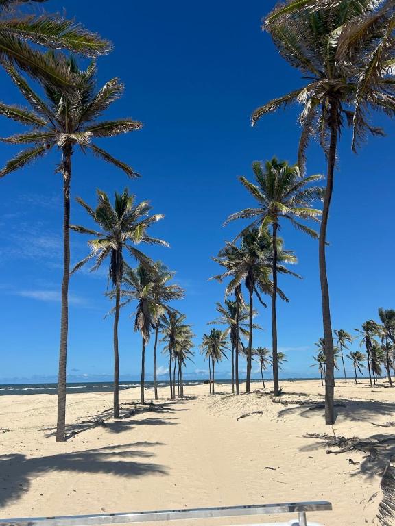 a row of palm trees on a sandy beach at Paracuru casa temporada Villa Ariane in Paracuru