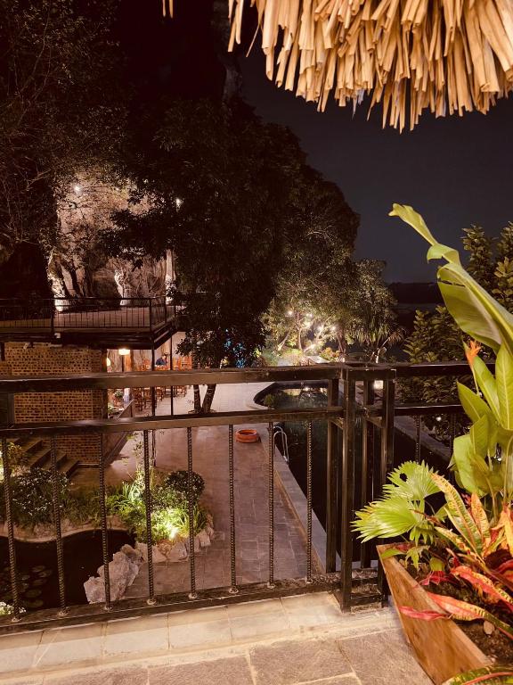 Tam Coc Golden Fields - 8