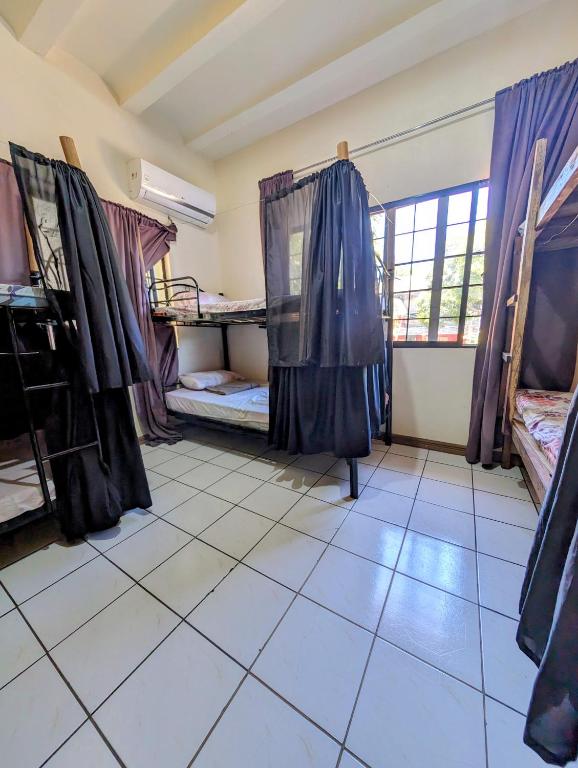 Kuchyň nebo kuchyňský kout v ubytování Screaming Gecko Hostel