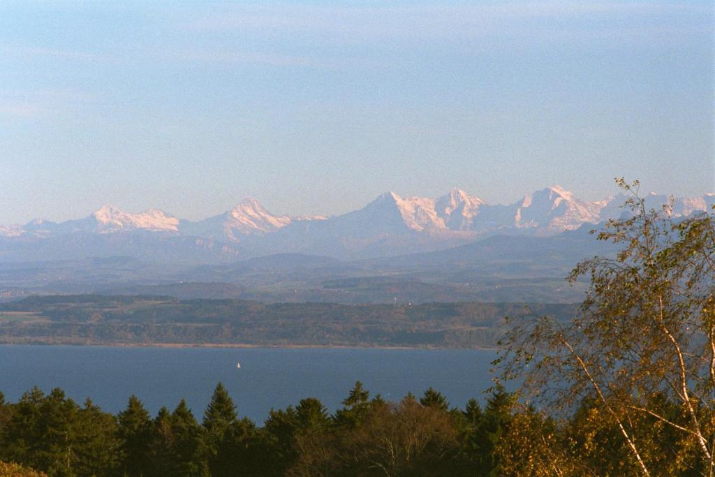 Blick auf schneebedeckte Berge über einen See in der Unterkunft EcoHotel L’Aubier in Montézillon