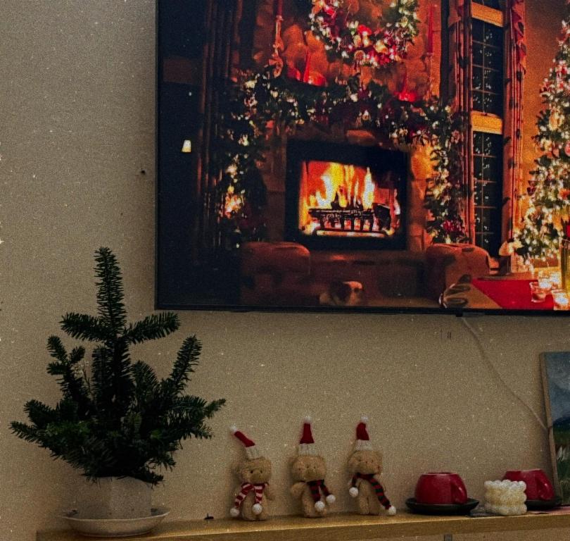 TV a/nebo společenská místnost v ubytování Tropical land little Hanoi homestay