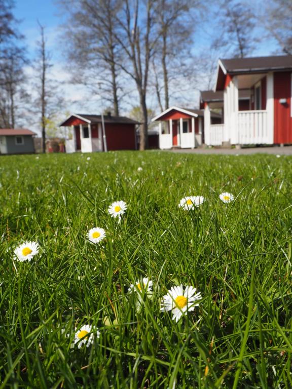 Zahrada ubytování Skara Stads-camping & Stugby