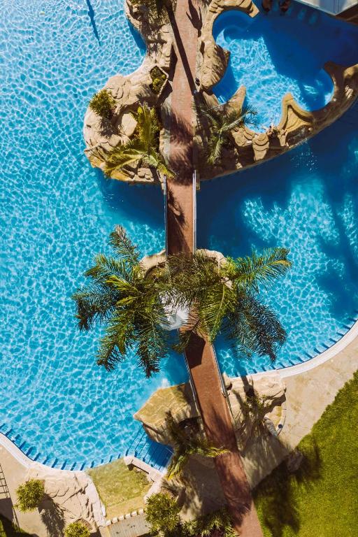 an overhead view of a swimming pool with palm trees at Leonardo Cypria Bay in Paphos