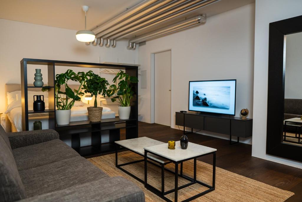 TV a/nebo společenská místnost v ubytování Modern Bijou Bern