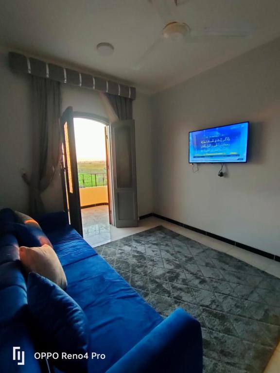TV a/nebo společenská místnost v ubytování Lutos Flower Apartment
