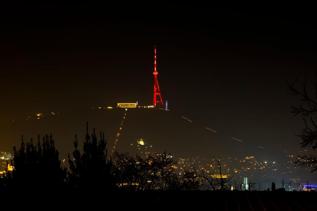 Fotografie z fotogalerie ubytování 4Season Villa v destinaci Tbilisi City