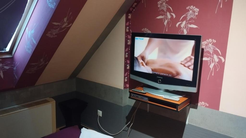 Telewizja i/lub zestaw kina domowego w obiekcie Tommy Apartman