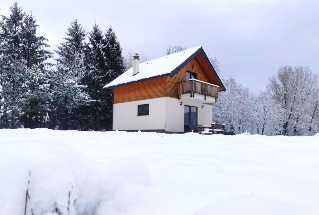 Kuća za odmor Zeleni san v zimě