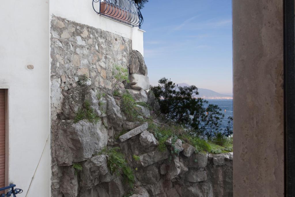 Příroda nedaleko hotelu