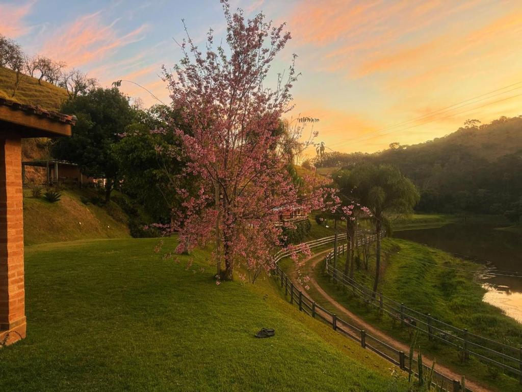 a tree with pink flowers on it next to a fence at Pousada Shangri-lá in Cunha