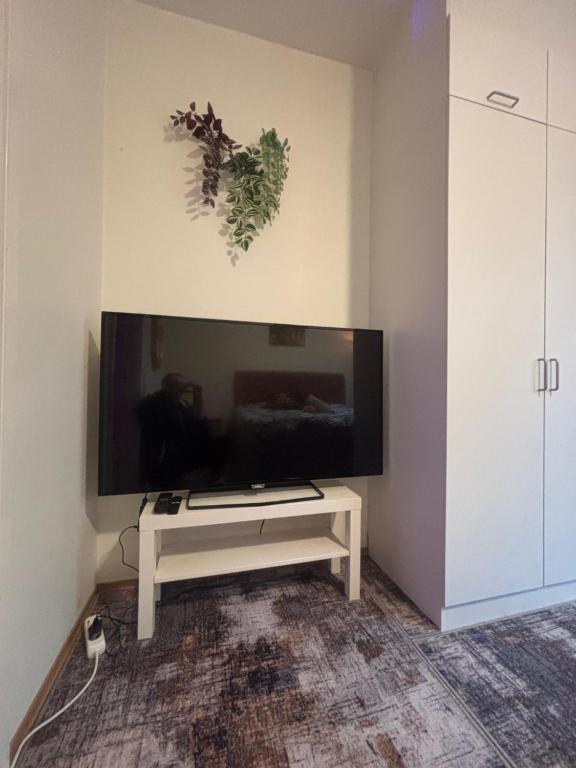 TV a/nebo společenská místnost v ubytování Comfortable room