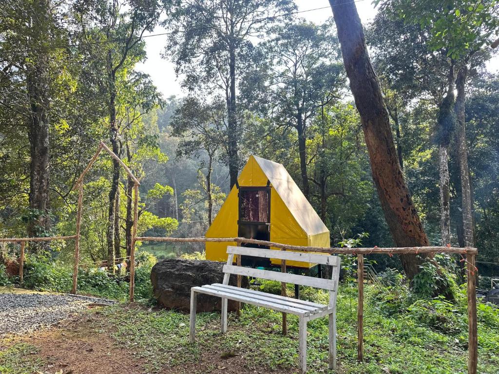 Příroda nedaleko luxury tent