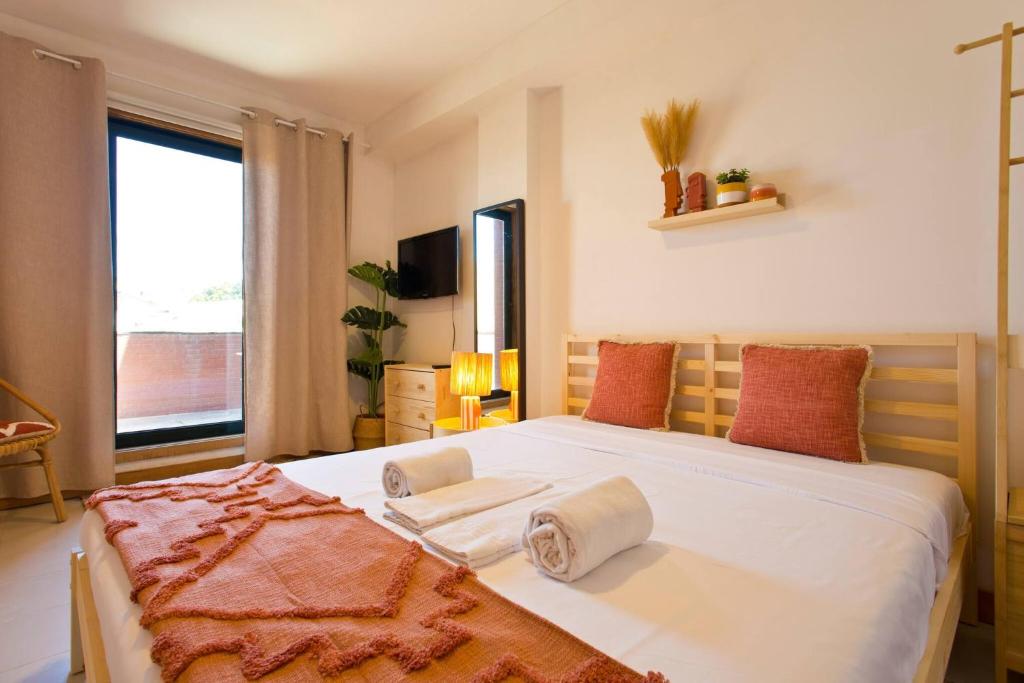 Aposentus - Contemporary Comfort
