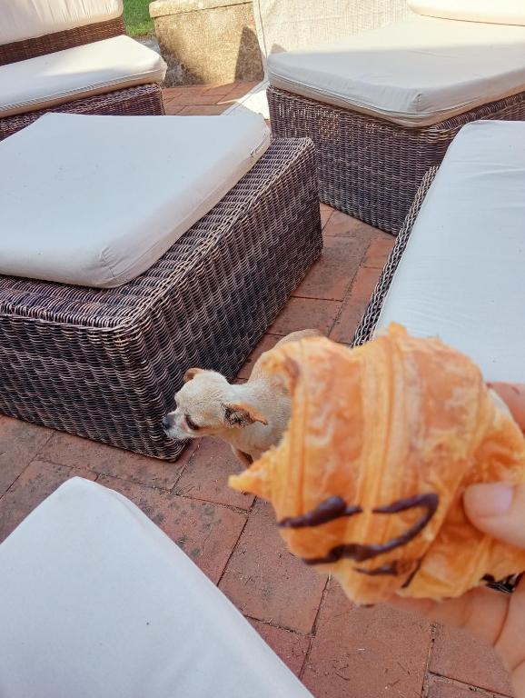 Derechos de imagen reservados por Booking.com