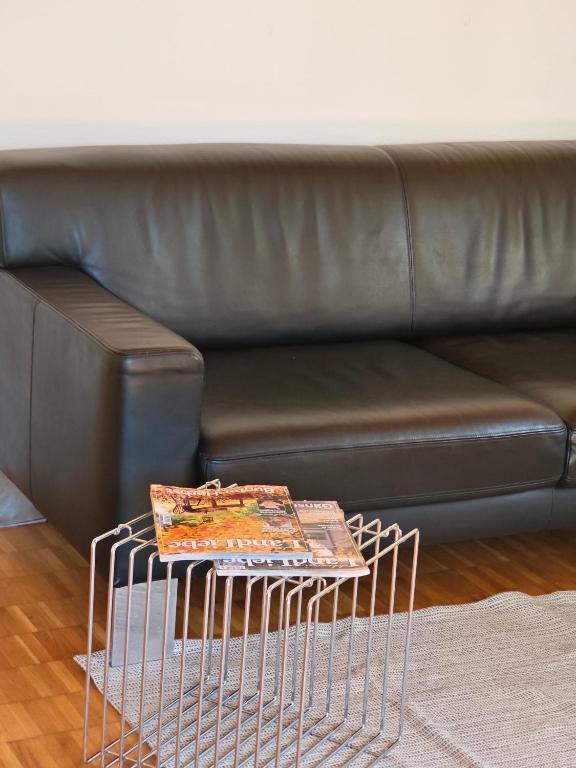 Posezení v ubytování NEB-Thun Appartment 3