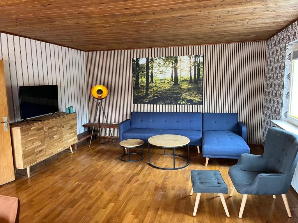 TV a/nebo společenská místnost v ubytování Harzhaus Altenau - Wohnung 2