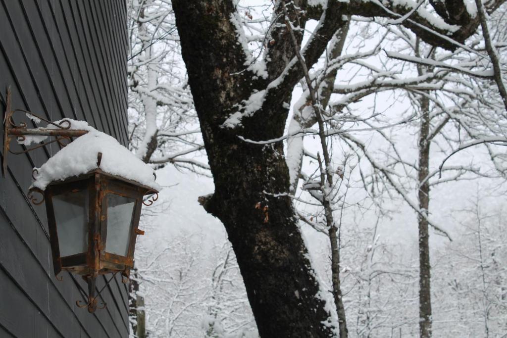 Hotel y Cabañas Borde Andino en invierno