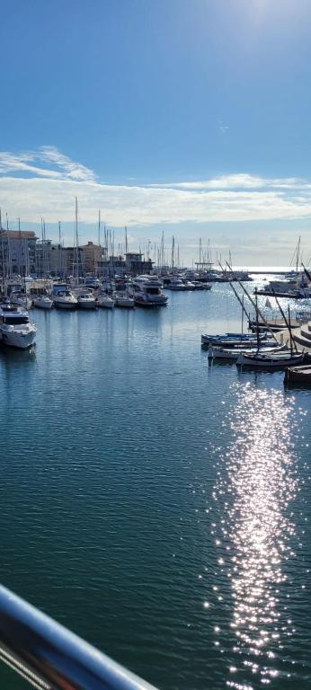 un port de plaisance avec de nombreux bateaux dans l'eau dans l'établissement Appartement f2 au bord de mer, à Saint-Raphaël