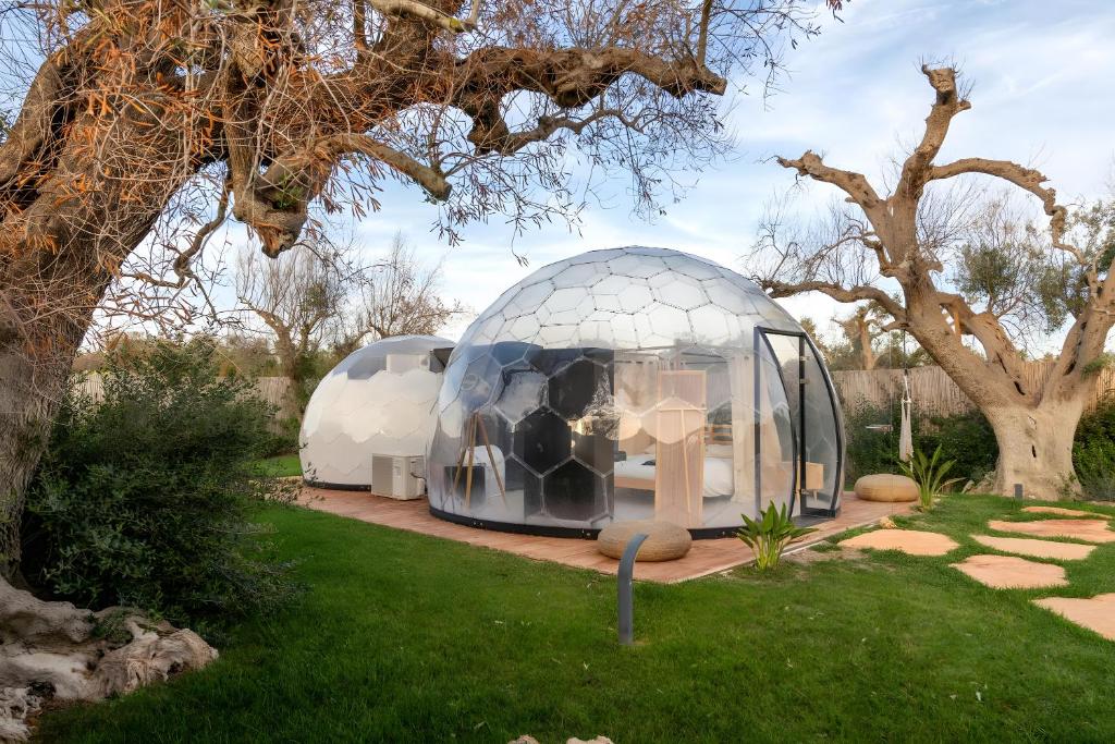 a glass dome house in a garden with a tree at Folià Natural Experience in San Vito dei Normanni