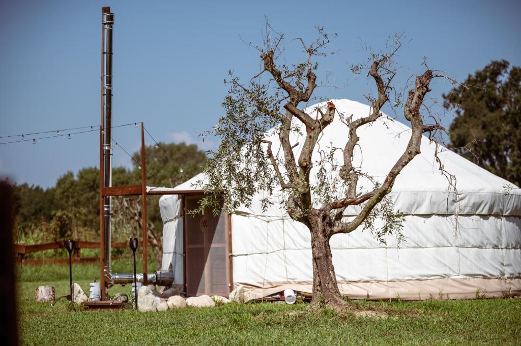 Agricampeggio Equinox - Tente Supérieure