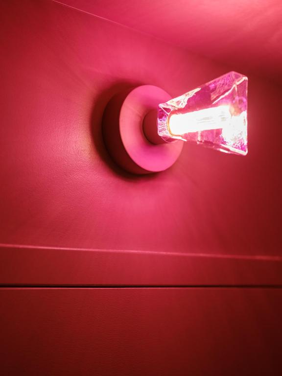 Rose - Hôtel Invisible - Resim 17