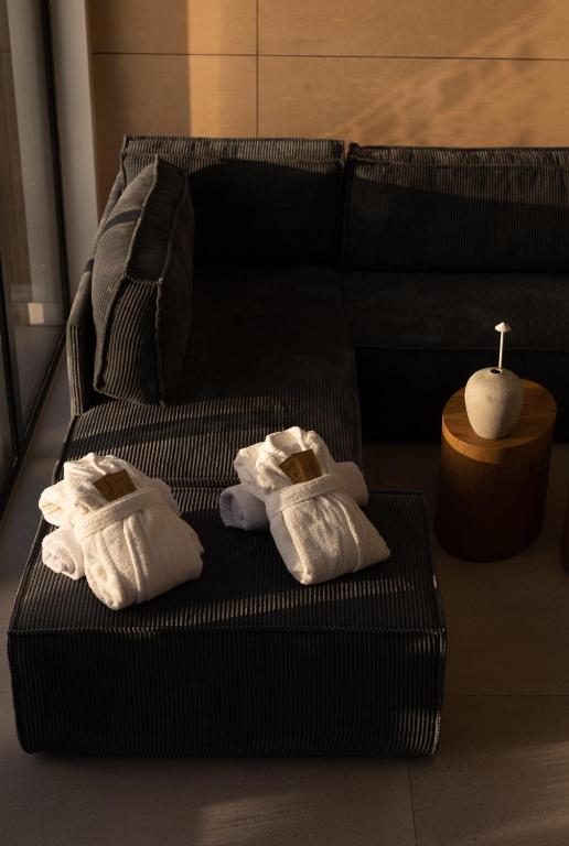 Fotografie z fotogalerie ubytování FlowFort - Karkonosze View & Spa & Wellness v destinaci Wojcieszyce