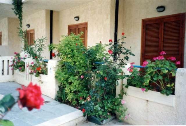 Zahrada ubytování Hotel Elida