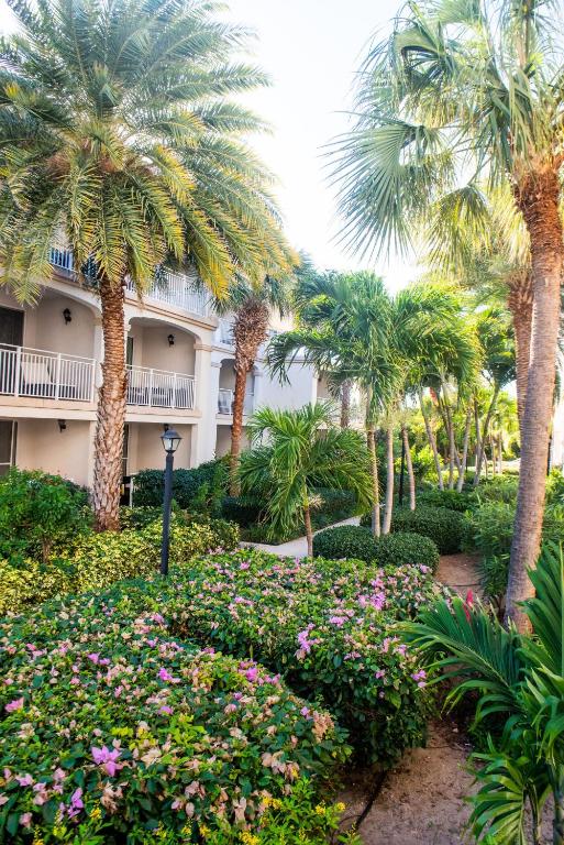 Zahrada ubytování Private Poolside, Loft-Like Condo with Panoramic Grace Bay Views, Walk to Beach, Restaurants, & Turtle Cove Marina!