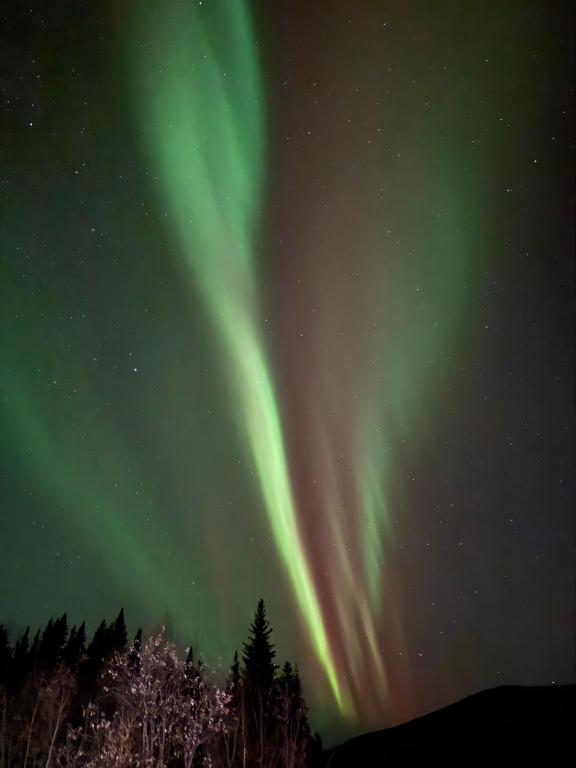 Fotografie z fotogalerie ubytování The Adamina v destinaci Fairbanks