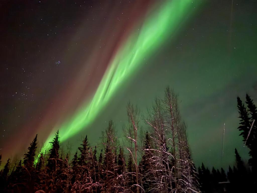 Fotografie z fotogalerie ubytování The Adamina v destinaci Fairbanks