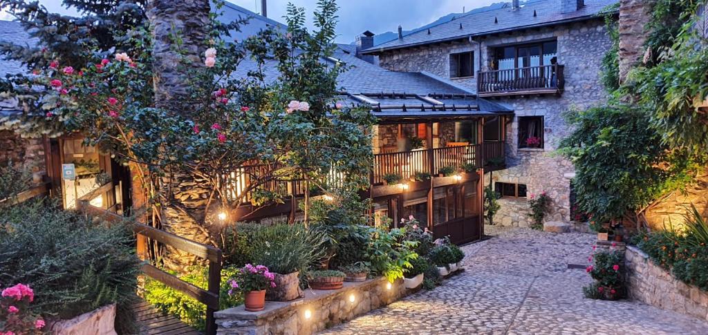 Zahrada ubytování Hotel Casa Cornel