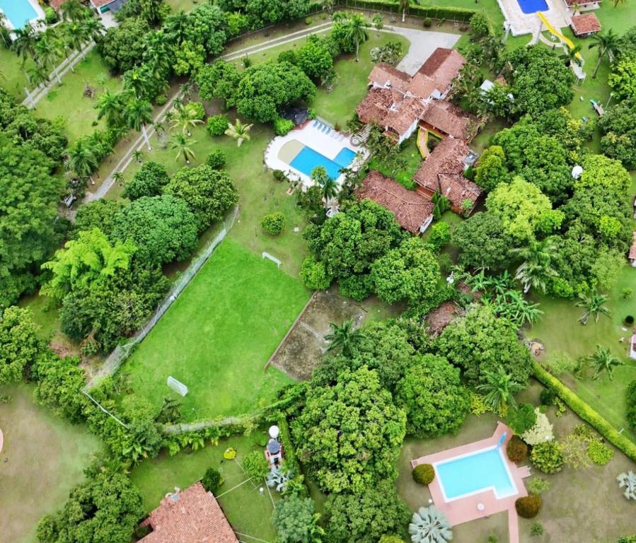 an overhead view of a garden with a pool and trees at Villa Rosario in San Jerónimo